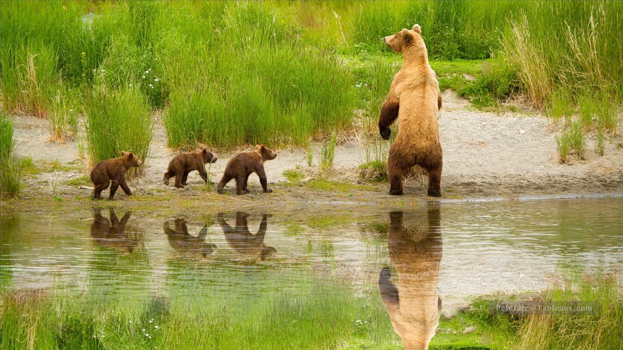 Bear famille près de la rivière au printemps peinture à partir de Photos à Art Peintures à l'huile